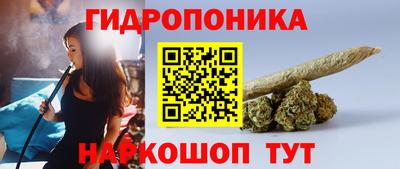 Альфа ПВП Севастополь