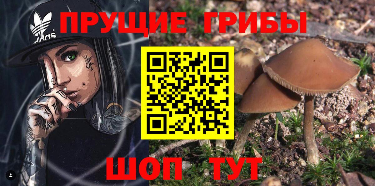 где купить наркоту  Псилоцибиновые грибы ЛСД  Псилоцибиновые грибы мухоморы  Вход с VPN  Орехово-Зуево 