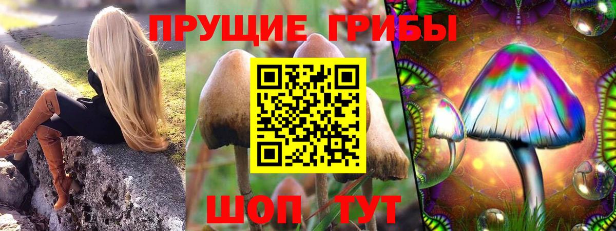 Галлюциногенные грибы мицелий Орехово-Зуево